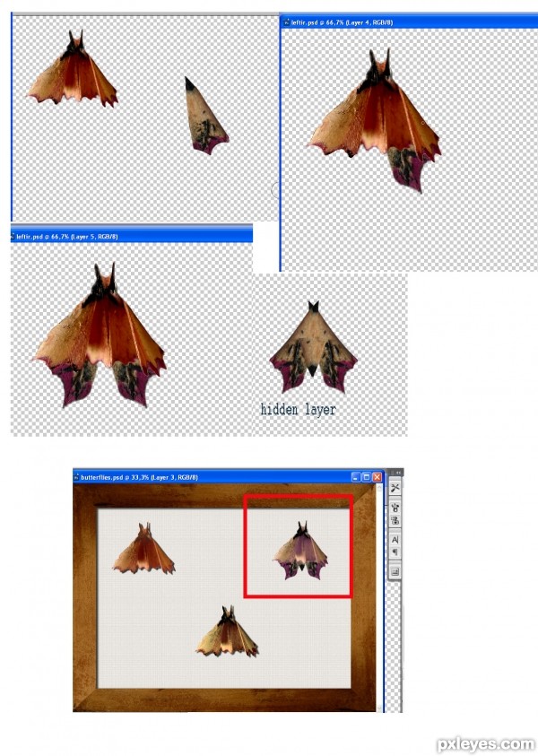 Creation of Butterfly colection: Step 6